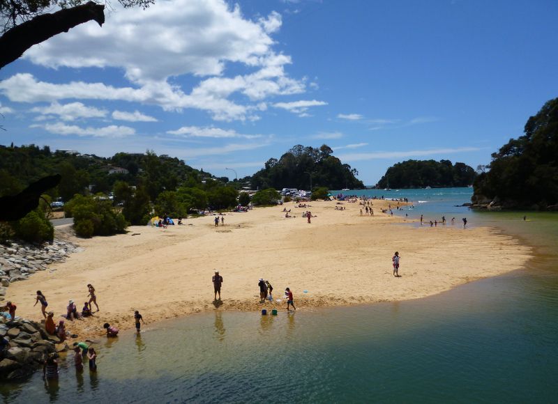 042 Kaiterieri Abel Tasman NP 18 Jan 2013.JPG